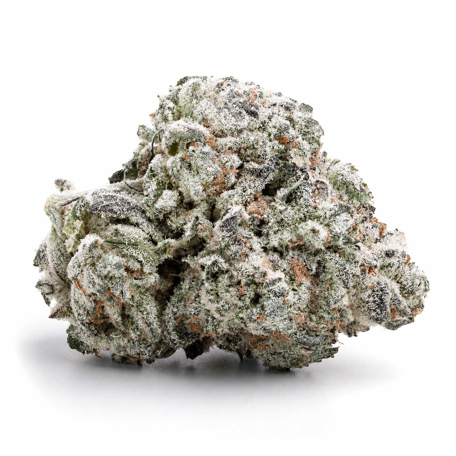 MARTIAN KUSH
